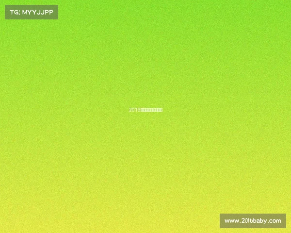 2016女排瑞士女排精英赛