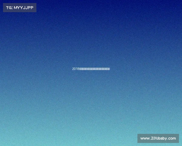 2018伊朗足球队世界杯征程亚洲之光闪耀绿茵赛场