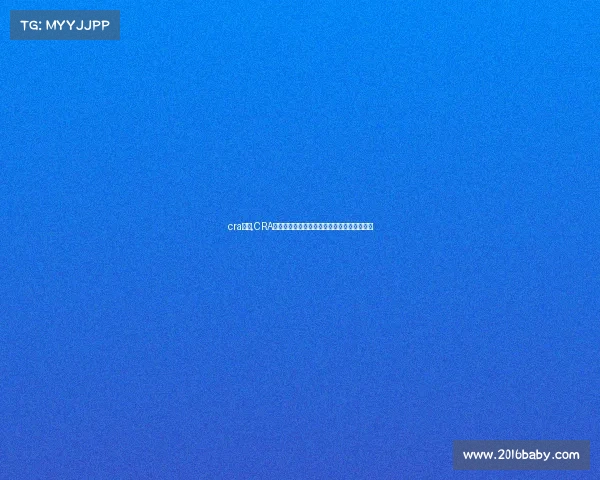 cra赛事,CRA赛车盛典激情赛道速度挑战荣耀梦想巅峰对决